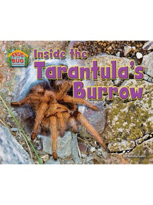 cover image of Inside the Tarantula's Burrow